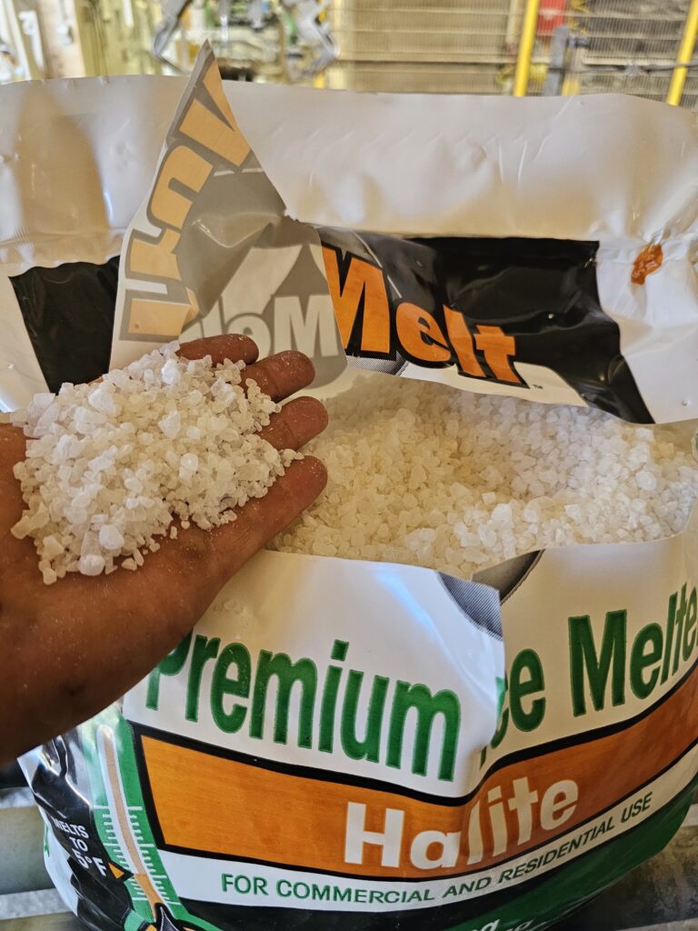 hand holding salt